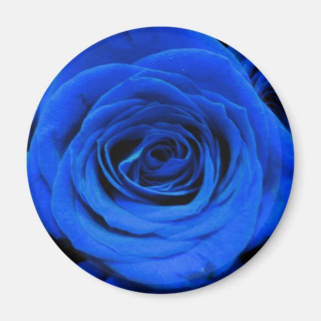 Imán Elegantes rosas azules flores azules florales azul (Frente)