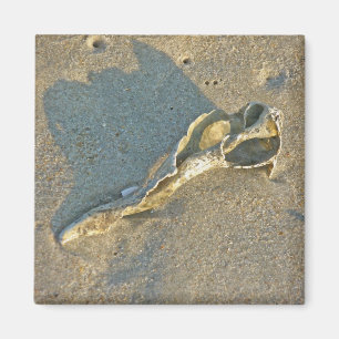 Imán Elementos de capucha de capucha de capucha de tram