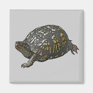 Imán Elementos de coordenadas de tortuga de caja orient