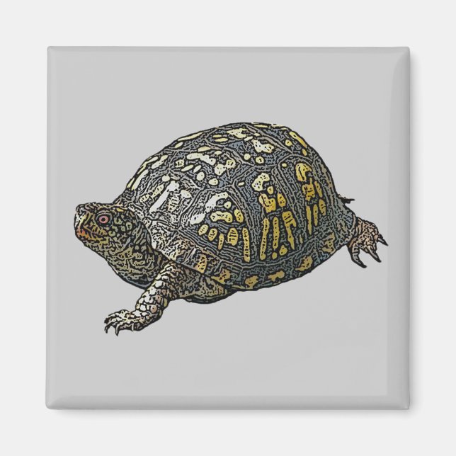 Imán Elementos de coordenadas de tortuga de caja orient (Frente)