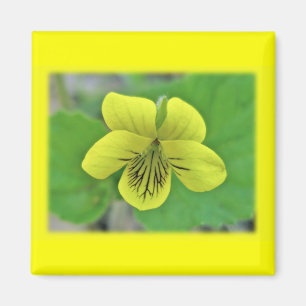 Imán Elementos de coordenadas violeta amarillo salvaje