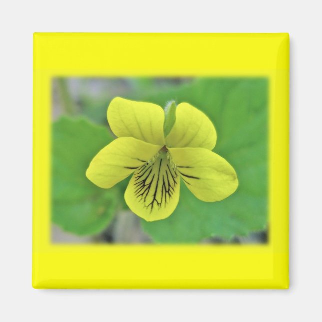 Imán Elementos de coordenadas violeta amarillo salvaje (Frente)