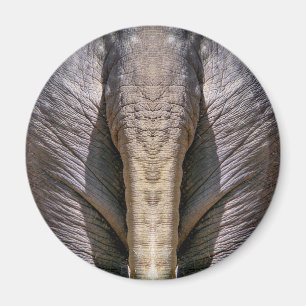 IMÁN ELEPHANT DUN