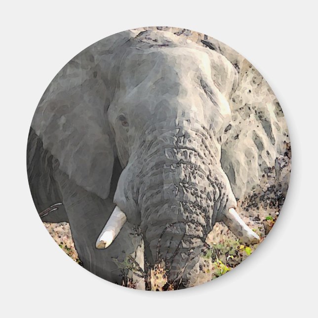 Imán Elephant Pop Art (Frente)