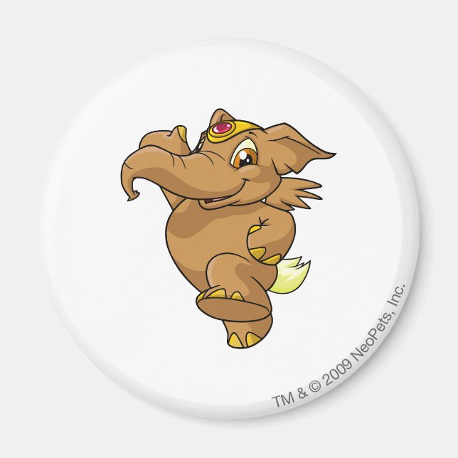 Imán Elephante Brown (Frente)