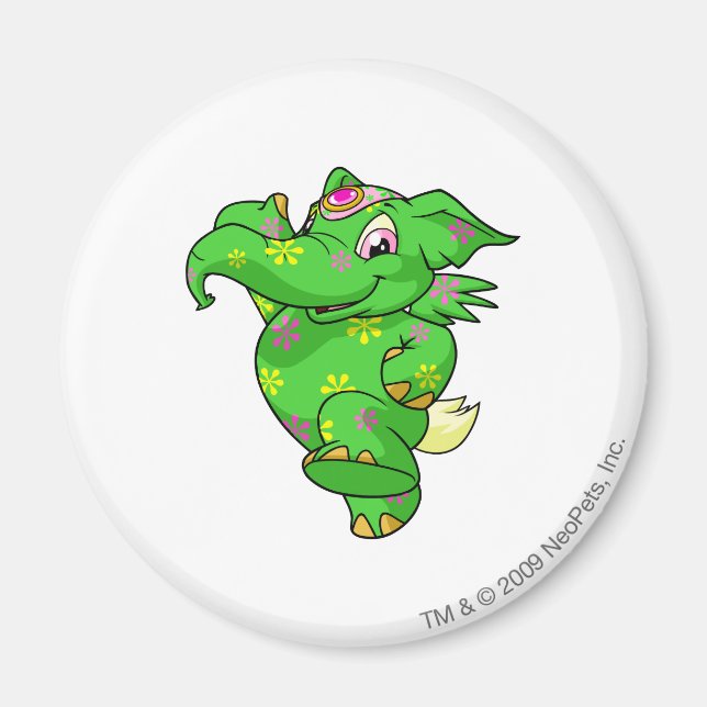 Imán Elephante Disco (Frente)