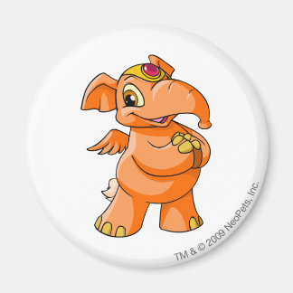 Imán Elephante Naranja