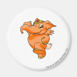 Imán Elephante Naranja