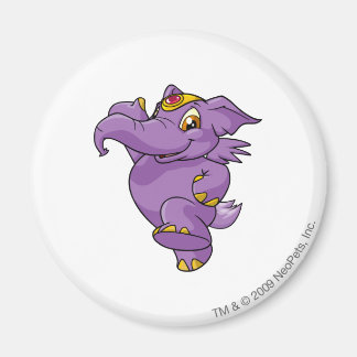 Imán Elephante Purple