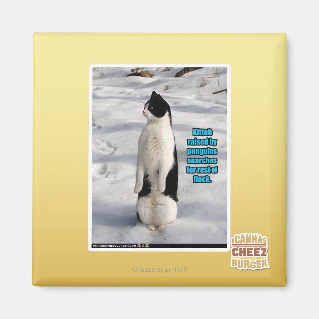 Imán Elevado por los pingüinos (Frente)