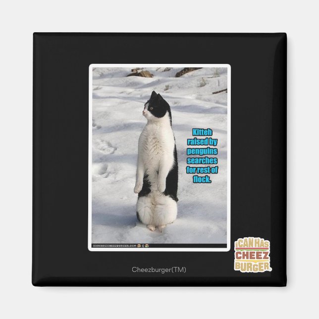 Imán Elevado por los pingüinos (Frente)