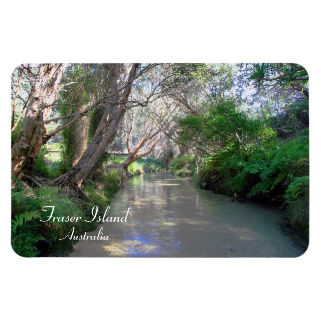 Imán Eli Creek Fraser Island, Australia, Premium Magnet (Horizontal)
