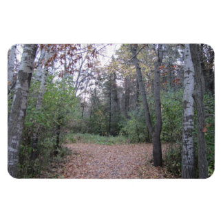 Imán Elige tu camino.