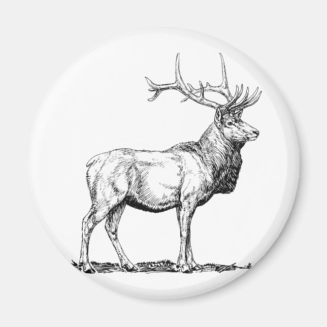 Imán Elk (Frente)