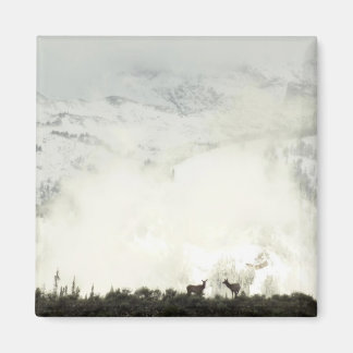 Imán Elk en el Parque Nacional de Grand Teton