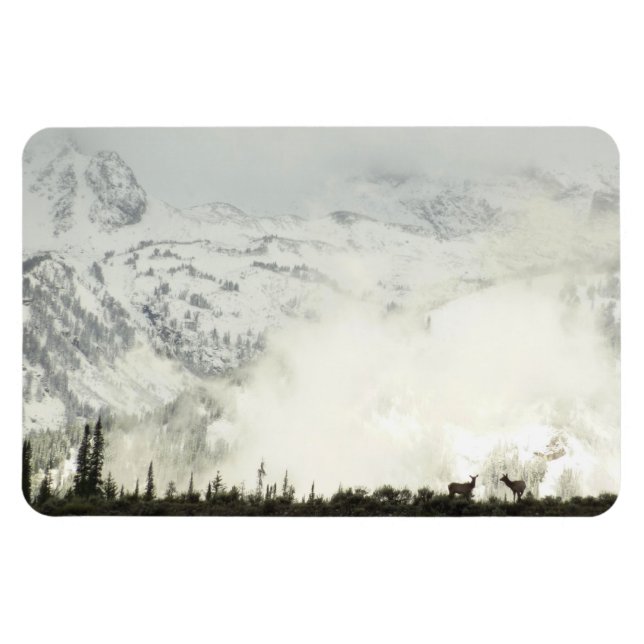 Imán Elk en el Parque Nacional de Grand Teton (Horizontal)