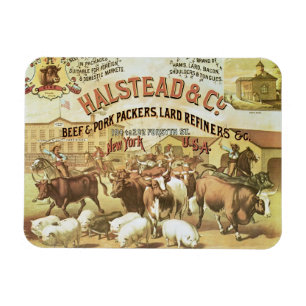 Imán Embaladores de la carne de vaca y del cerdo,