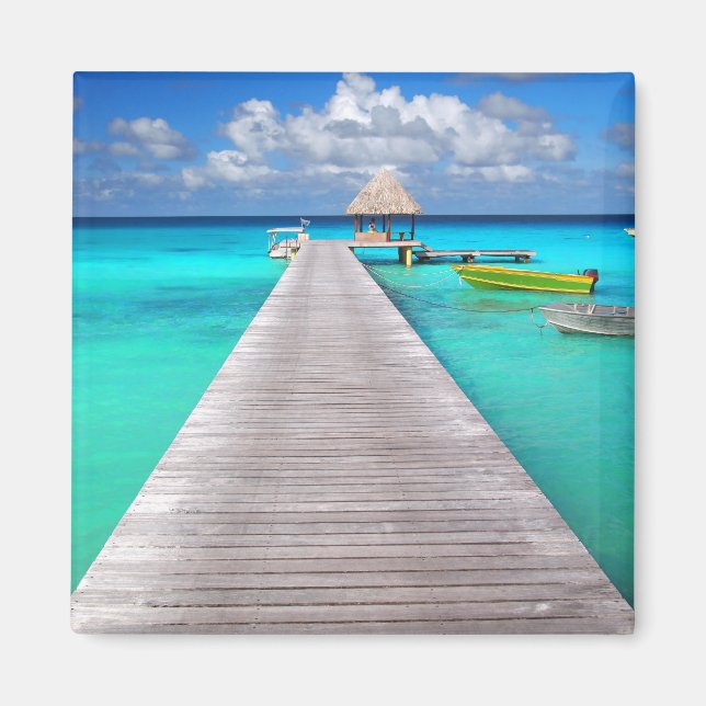 Imán Embalse con botes en una laguna tropical (Frente)