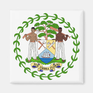 Imán emblema de belión