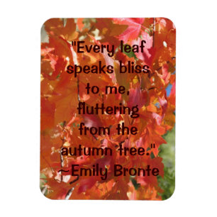 Imán Emily Bronte Autumn Cita