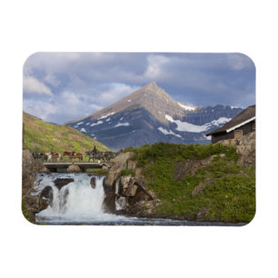 Imán Empaquetadores lideran la cadena de caballos sobre