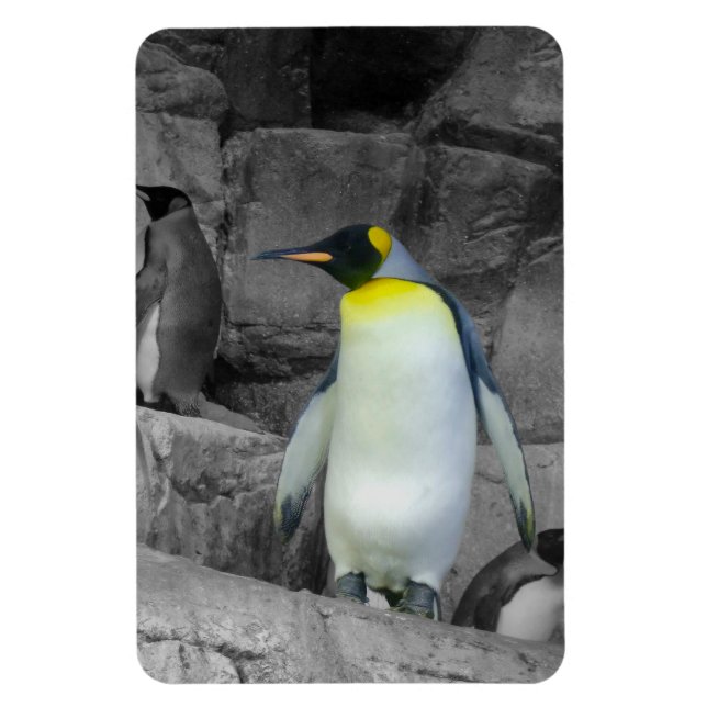 Imán Emperador Penguin (Vertical)