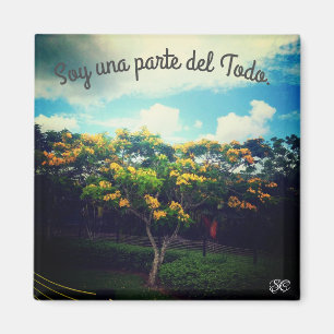 Imán empoderamiento