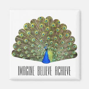 Imán Empowerment Peacock