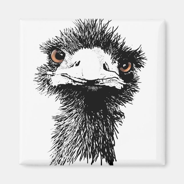 Imán Emu (Frente)