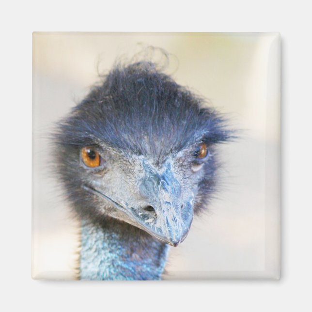 Imán Emu (Frente)