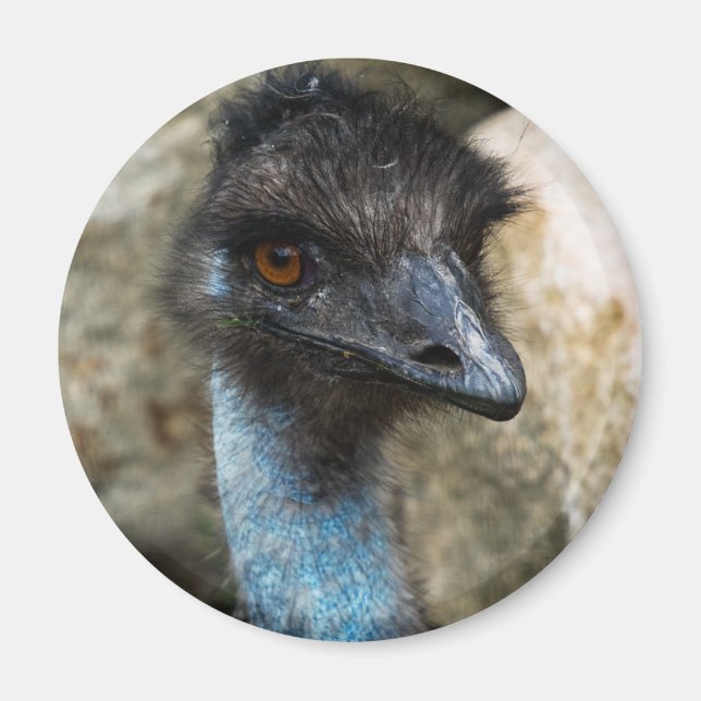 Imán Emu Head Magnet (Frente)