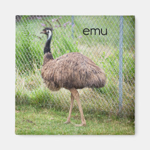 Imán Emu Refrigerator Magnet