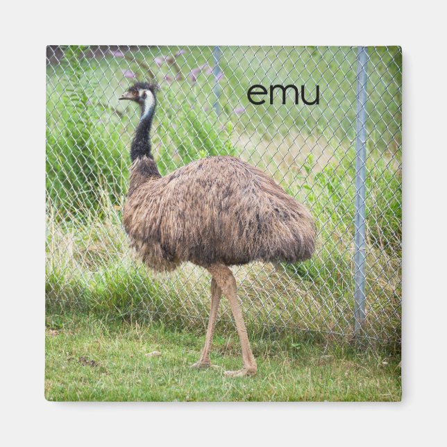 Imán Emu Refrigerator Magnet (Frente)