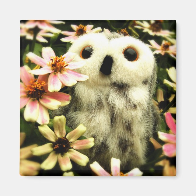 Imán En busca de hadas (Frente)