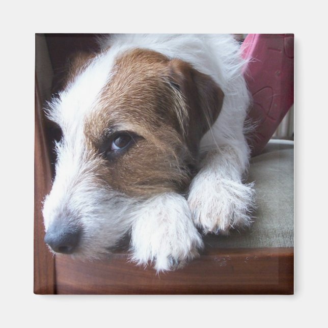 Imán En casa el domingo (Frente)