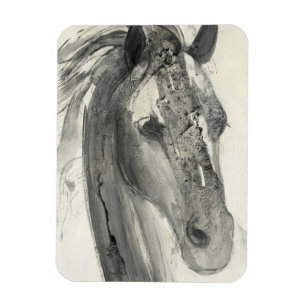 Imán En el viento I