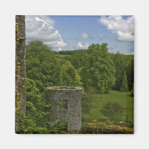 Imán En Irlanda, en Blarney Castle una torre de piedra