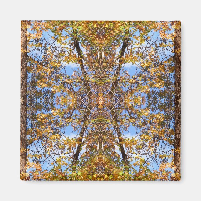 Imán En la calle... (Frente)