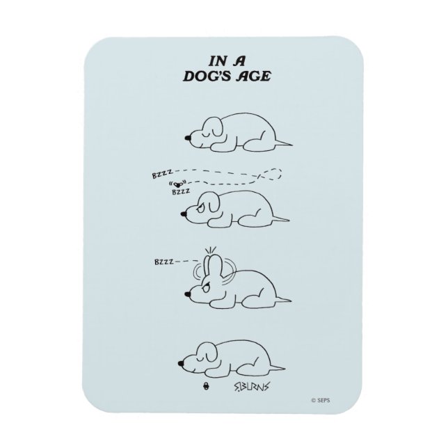 Imán En la edad de un perro (Vertical)