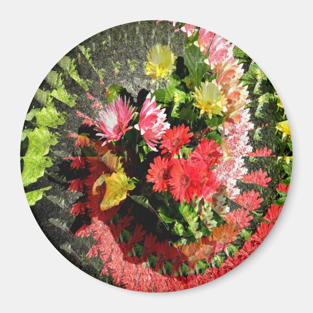 Imán En la enfermería......... (Frente)