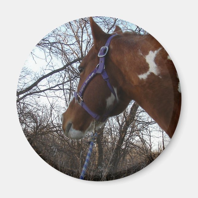 Imán En los bosques que miro (Frente)