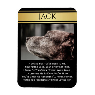 Imán En Memoria De Un Mascota Perdido