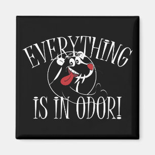 Imán En Odor Skunk