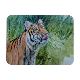 Imán en peligro del tigre