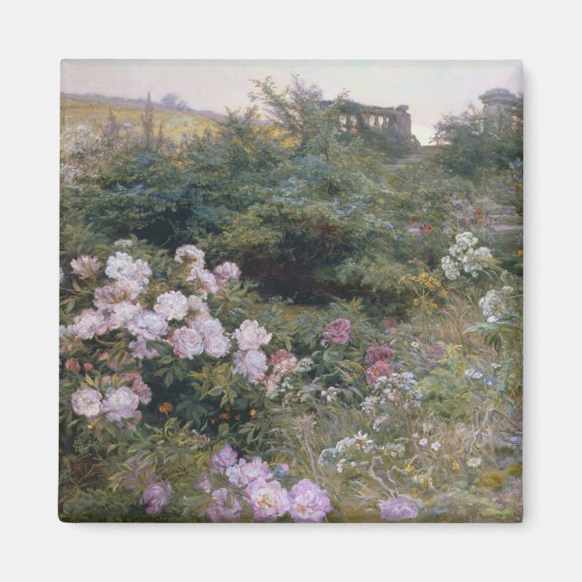 Imán En pleno auge (Frente)