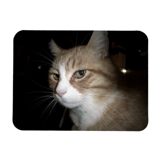 Imán ¿En qué está pensando? (Horizontal)