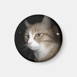 Imán ¿En qué está pensando?