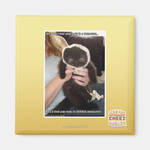 Imán En varios contenedores