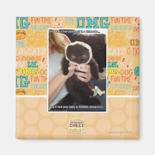 Imán En varios contenedores