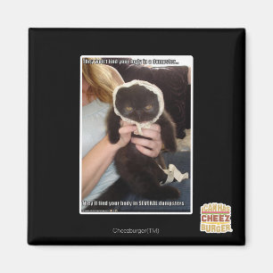 Imán En varios contenedores